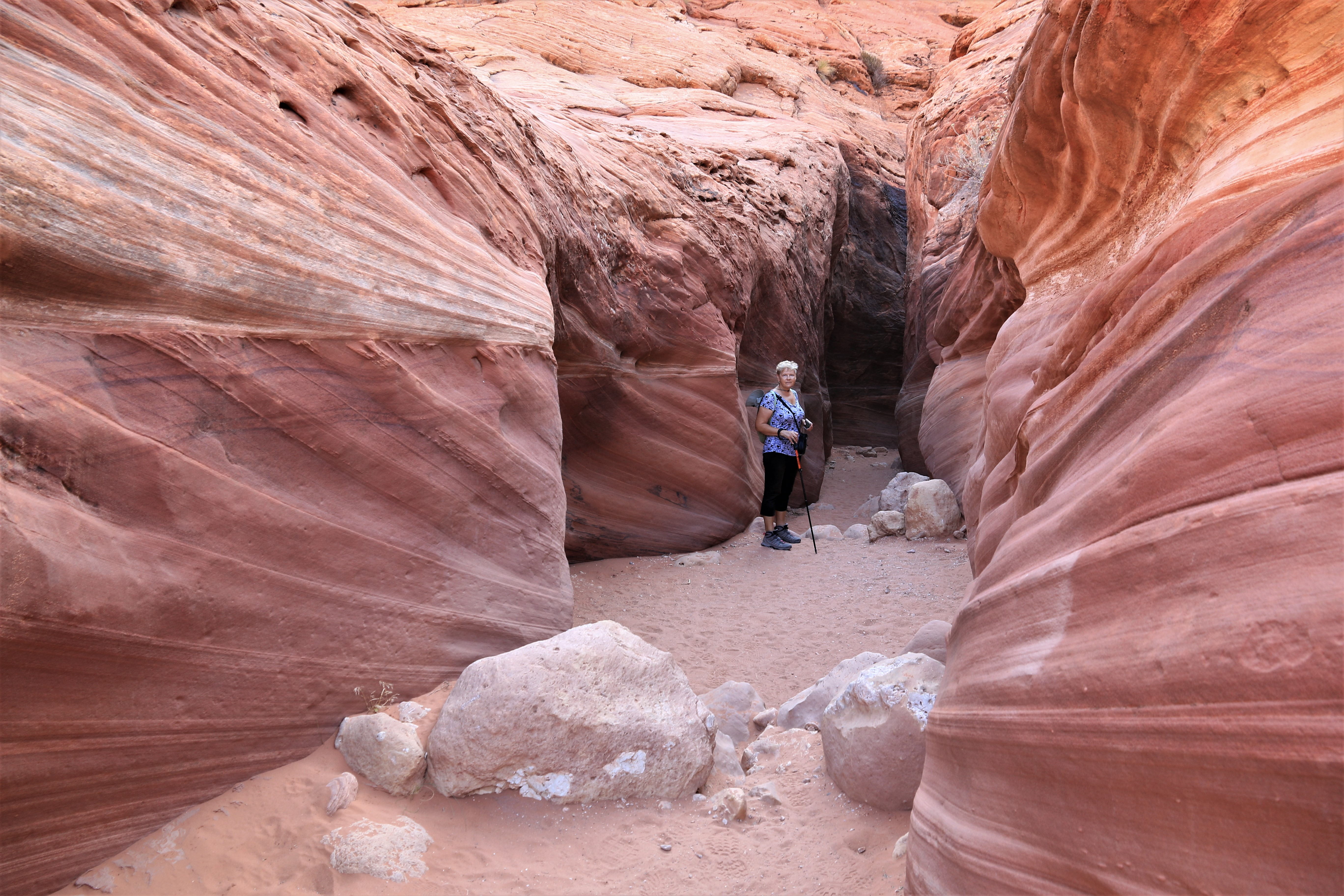 Vermillion Cliffs NM